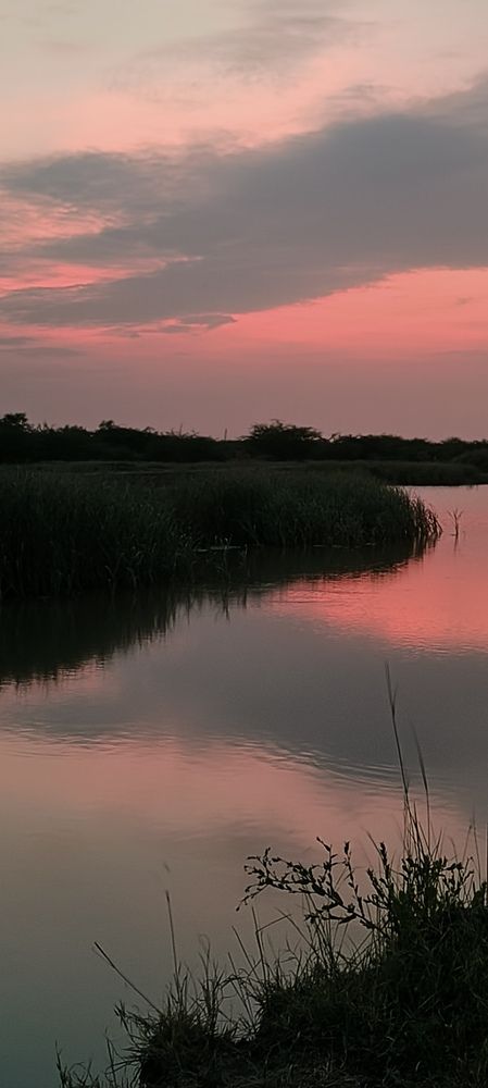 Photo #12855006