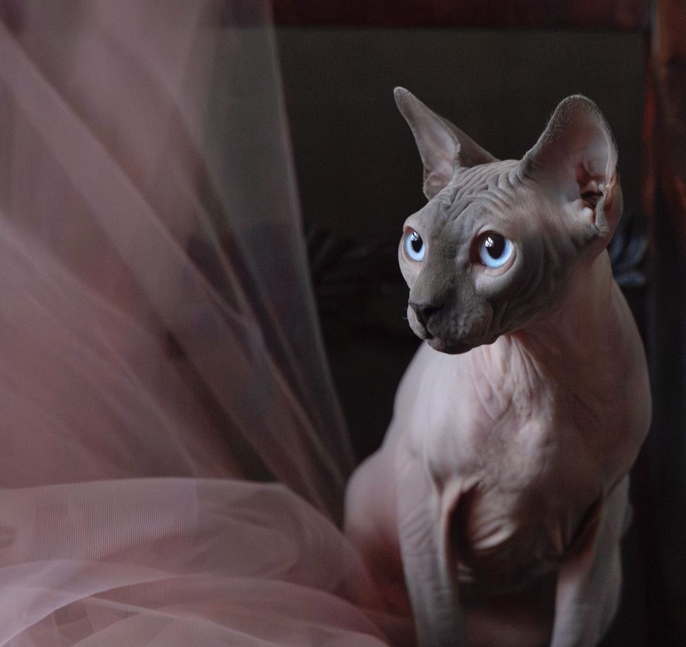 Photograph by Galina Sa