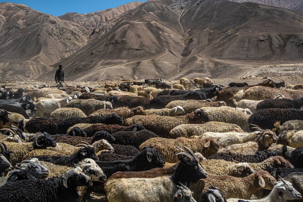 Photograph by Юлия Есина