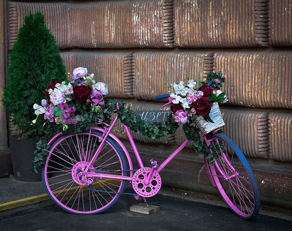 Фотография автора Елизавета Станкевич