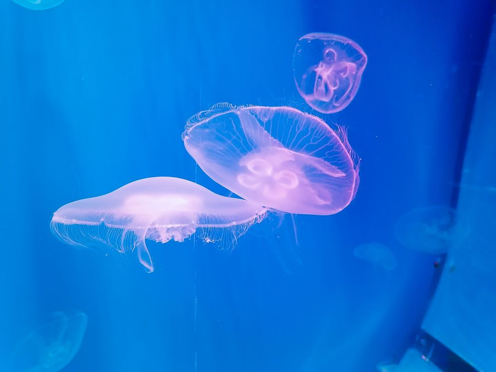 Photograph by Валентина Воробьёва