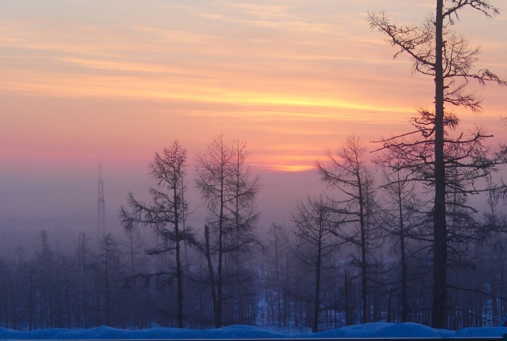 Photograph by Михаил Мархинин