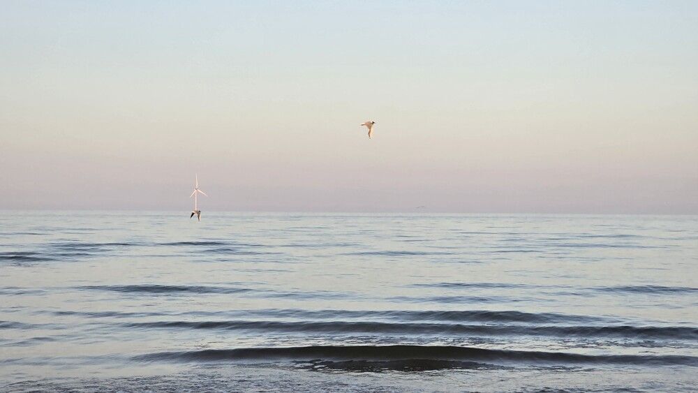 Photograph by Ekaterina Kazarez
