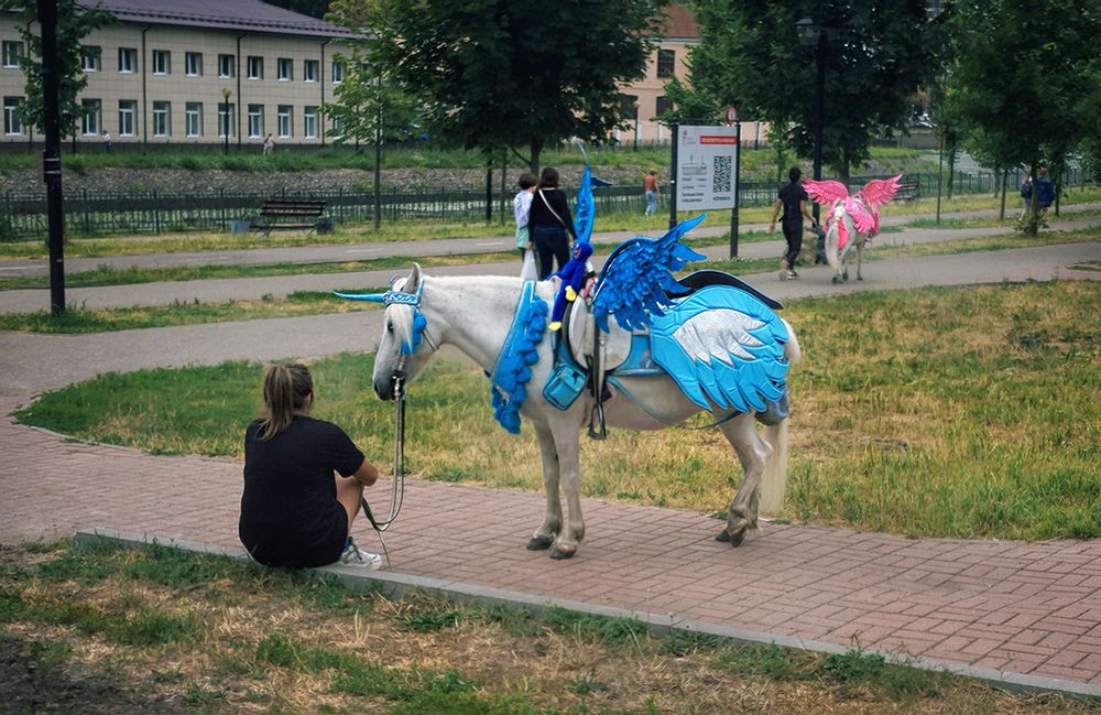 Фотография автора Е лена Е