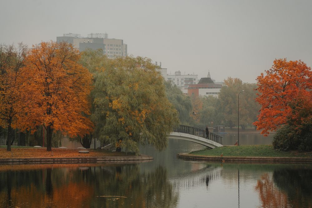 Фотография автора Дарья Чистякова
