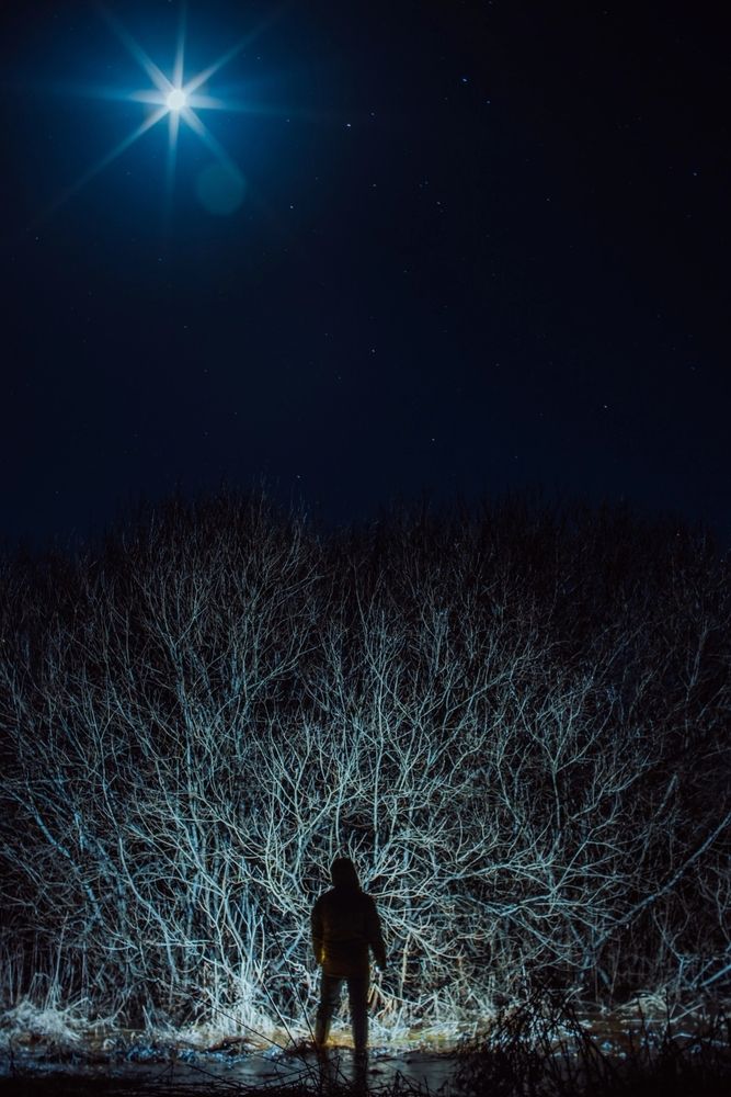 Photograph by Хабаров Сергей