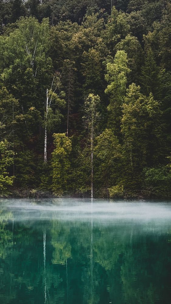Photograph by Ольга Прищепова