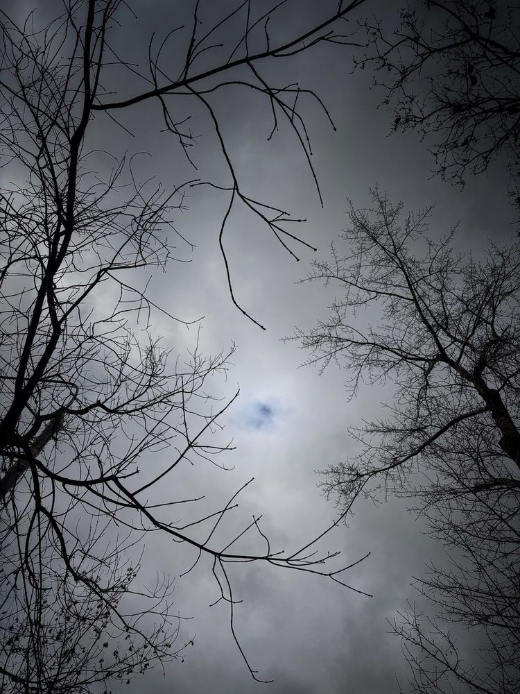 Photograph by Анна