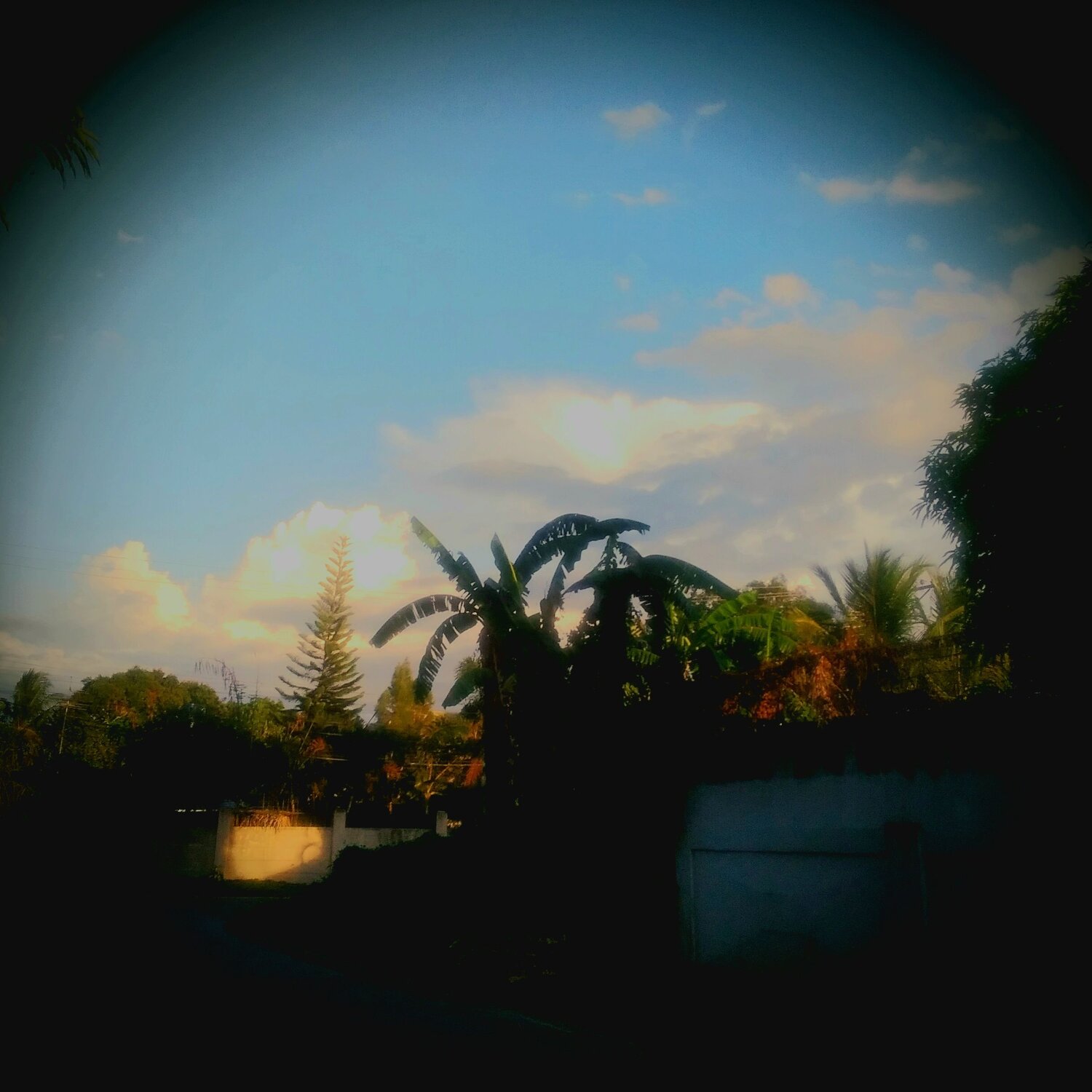 Фотография #12855437