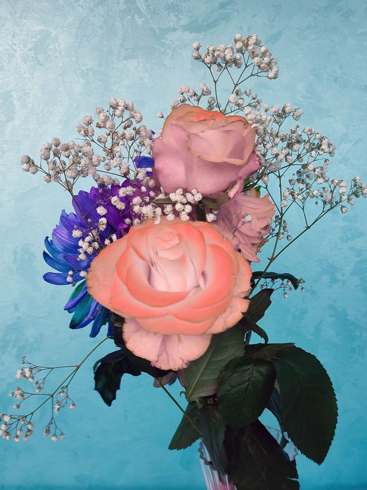 Photograph by Лолита Богачева