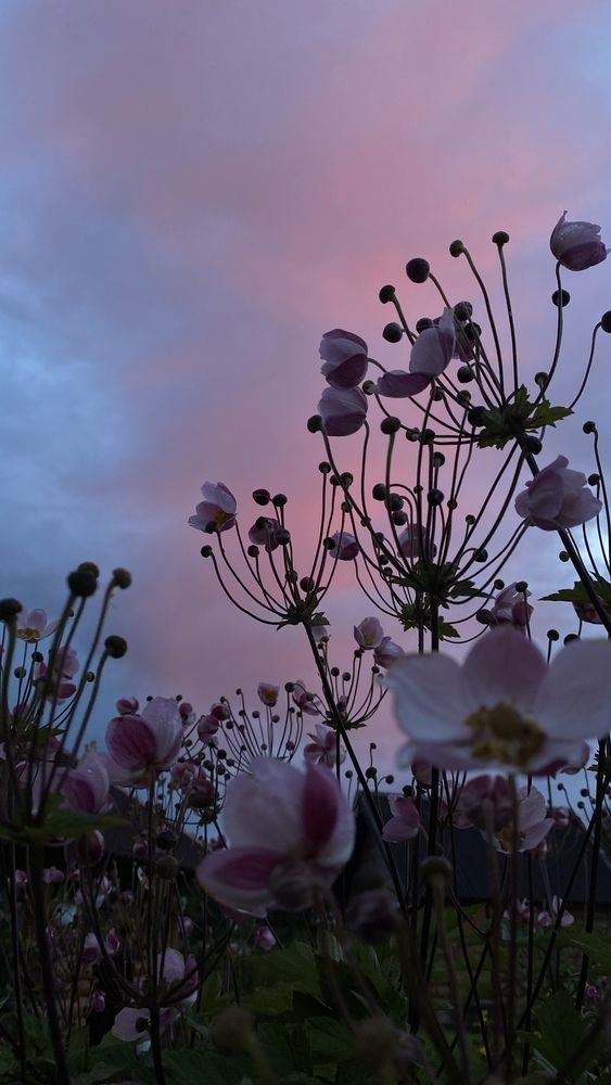 Photograph by Анна Кулакова