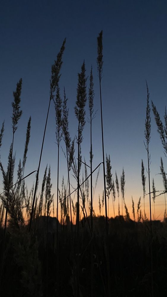 Photograph by Анна Кулакова