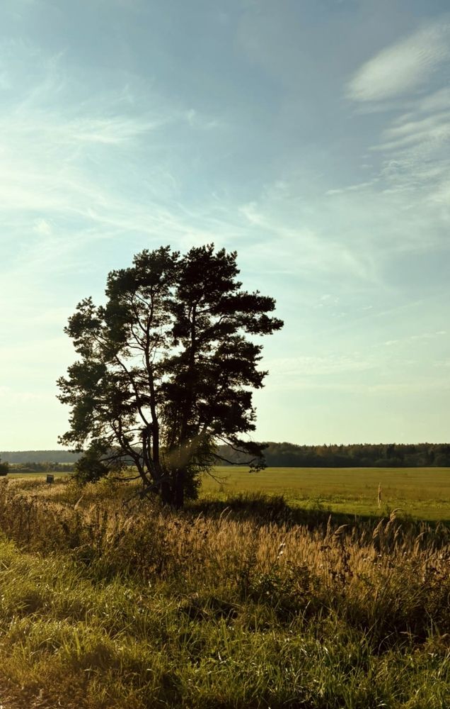 Photograph by Анна