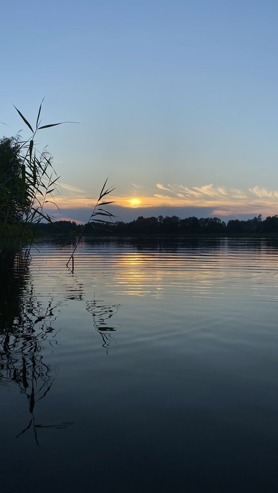 Photograph by Анна Кулакова