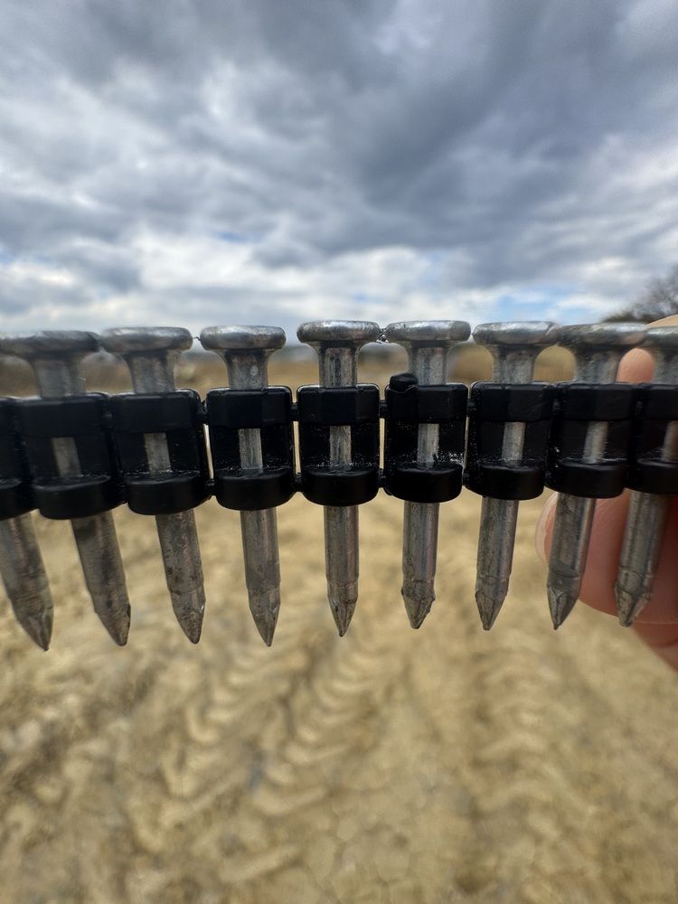 Фотография автора Büşra B