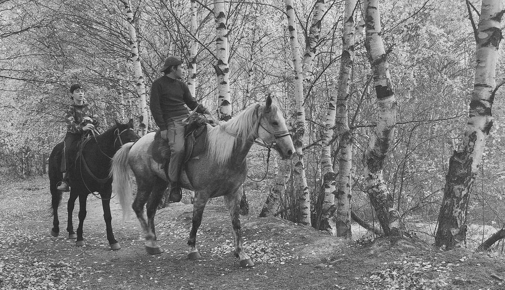 Фотография автора Шипунова Ирина