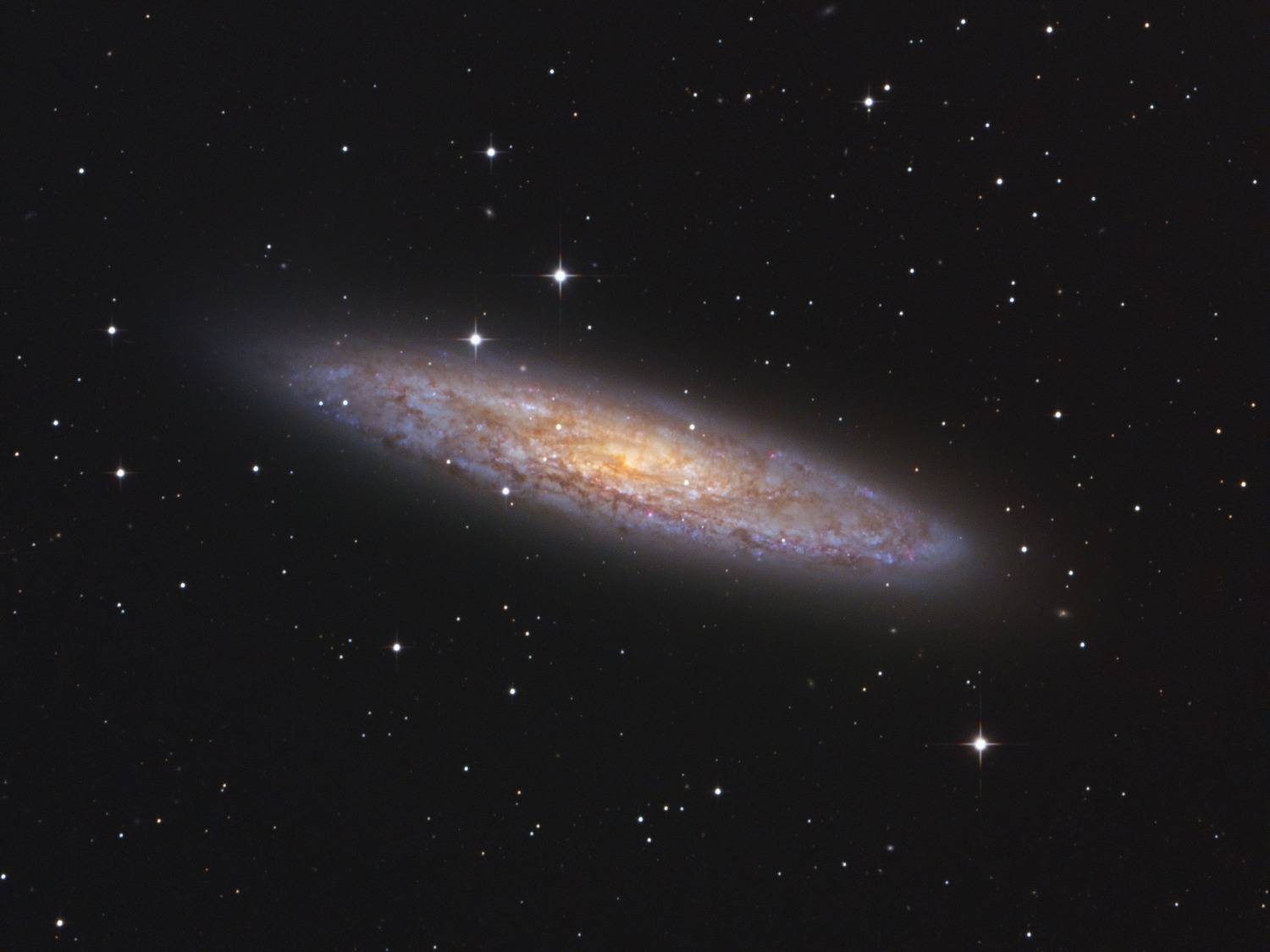 Серебряный Доллар