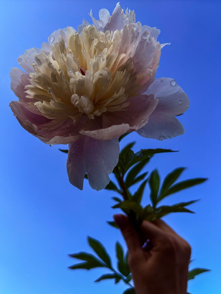 Photograph by Марина Харитонова