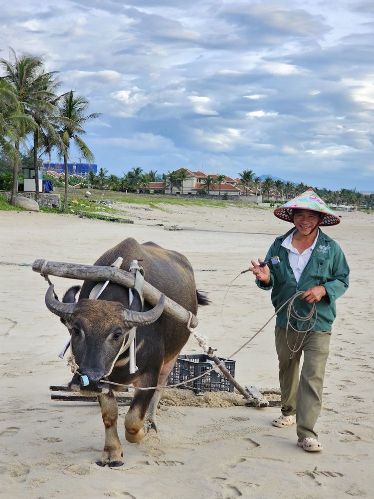 Photograph by Любовь Толстова