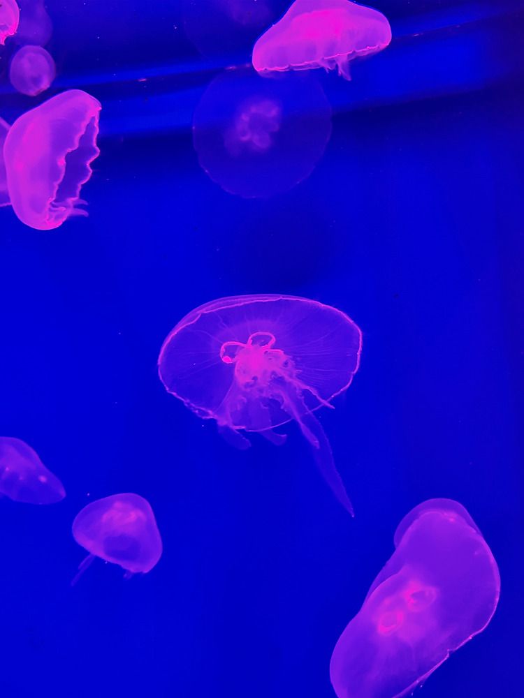 Фотография автора Екатерина