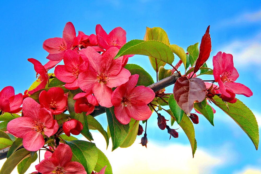 Photograph by Виталий Симоненков