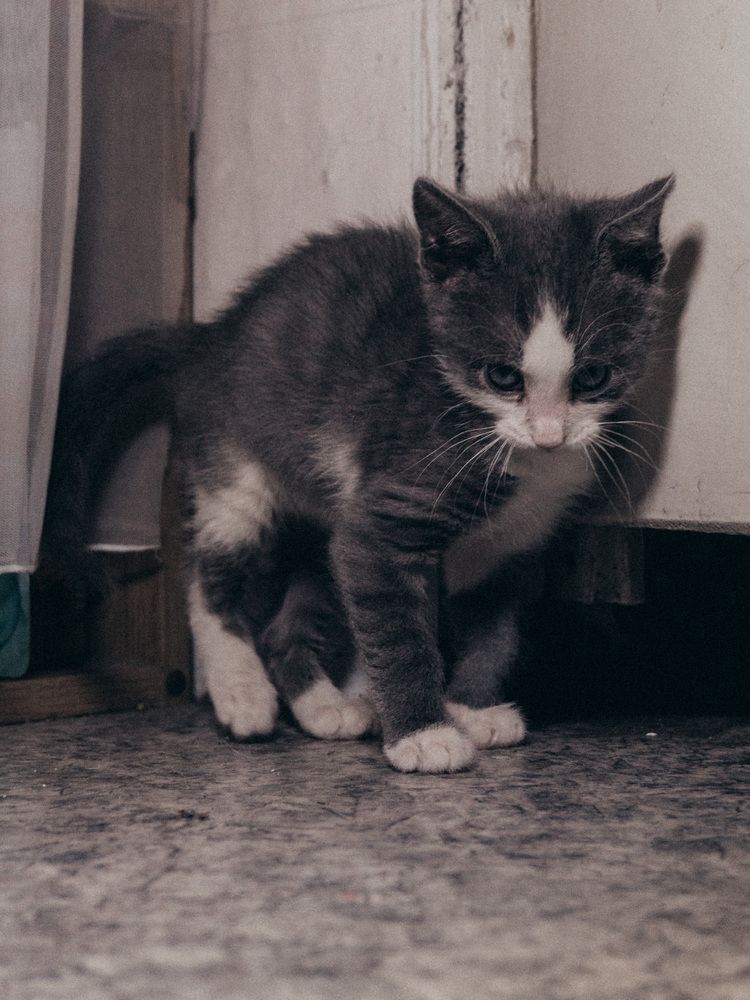 Photograph by Михаил Конте