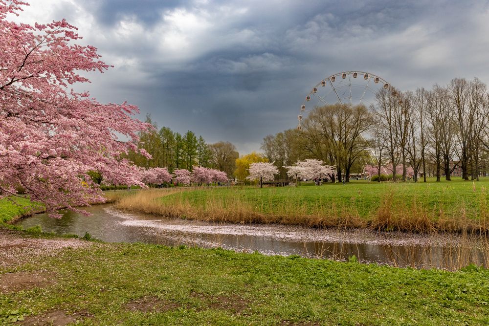 Photograph by Ineta Osipoviča