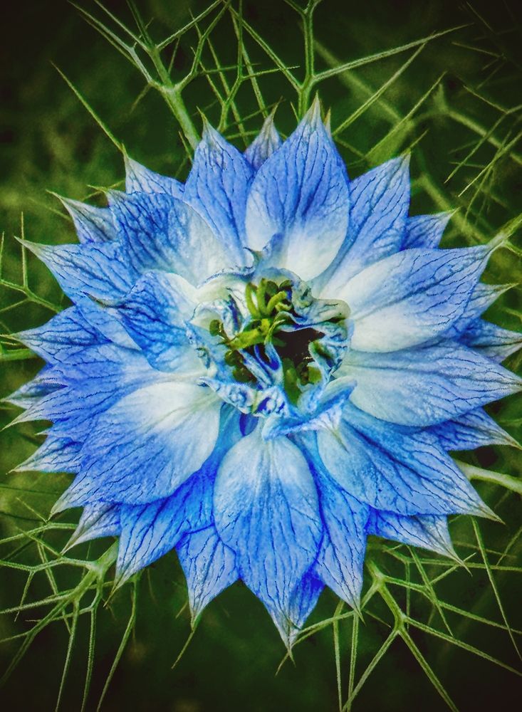 Фотография автора Евгения Иванова