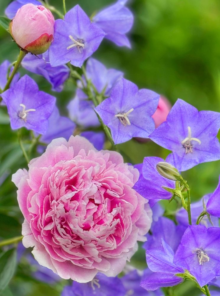 Фотография автора Евгения Иванова