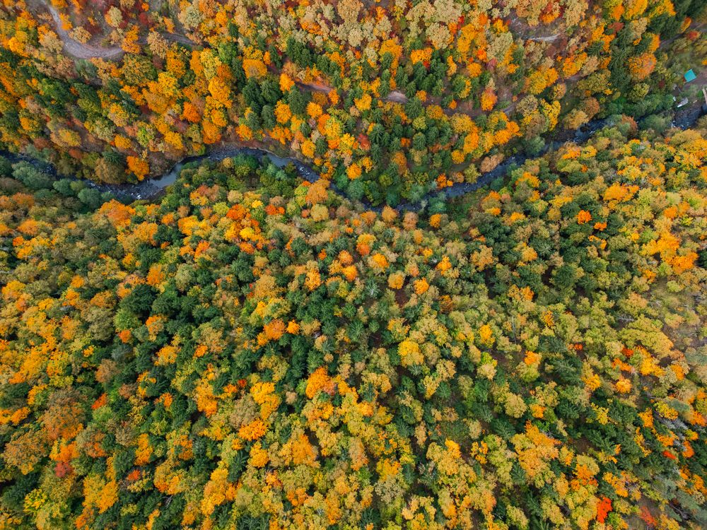 Photograph by Алексей Никитин