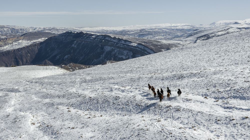 Photograph by Алексей Никитин