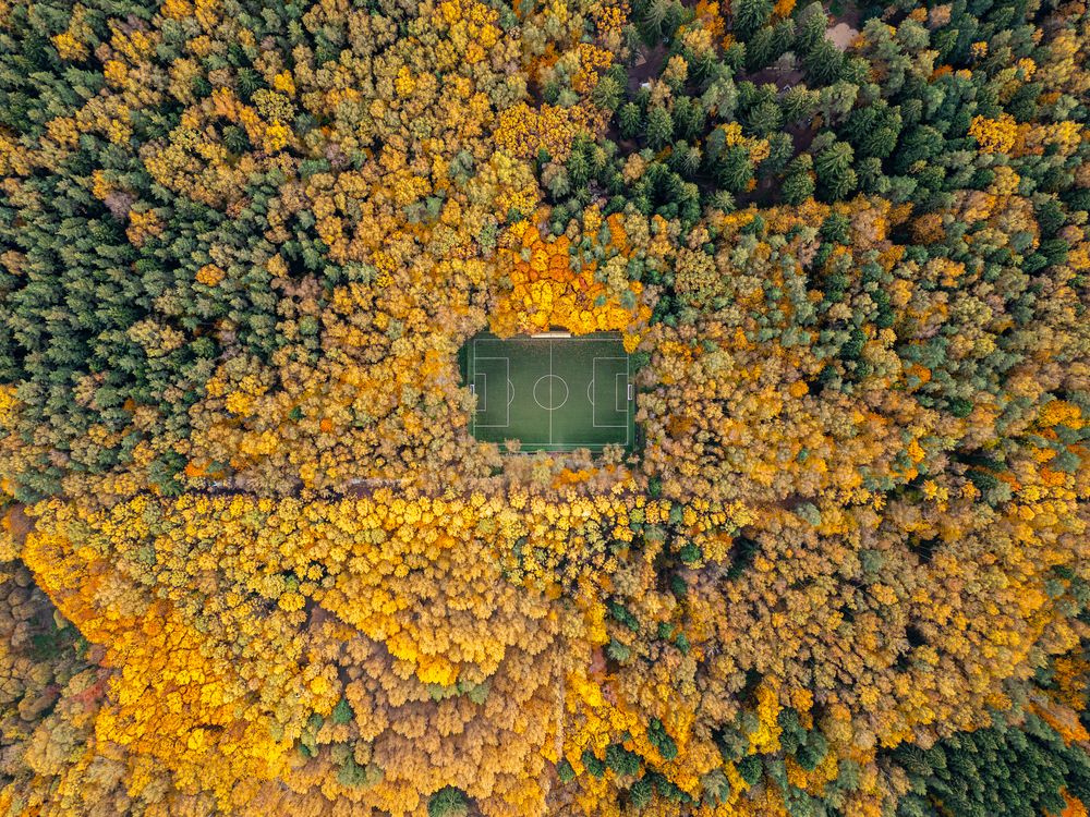 Photograph by Алексей Никитин