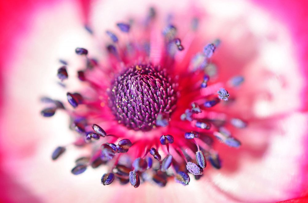 Photograph by Marjo Steffen