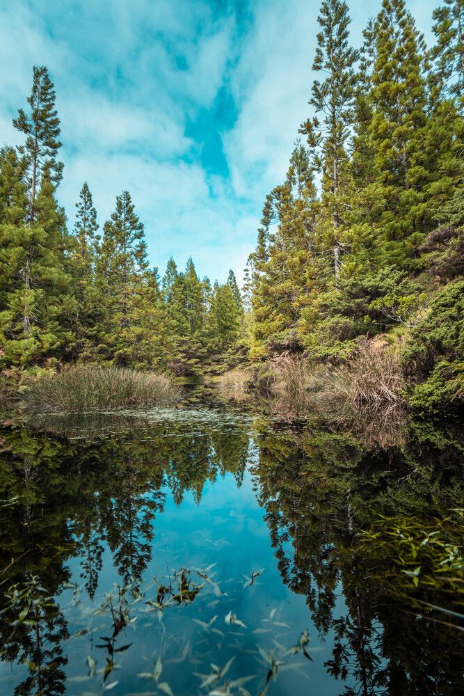 Lake