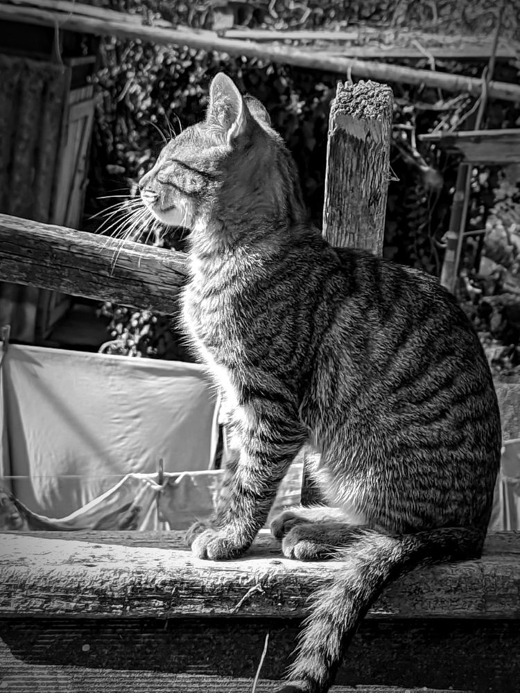 Photograph by ТАТЬЯНА/-+/-я ДОЛГУШЕВА
