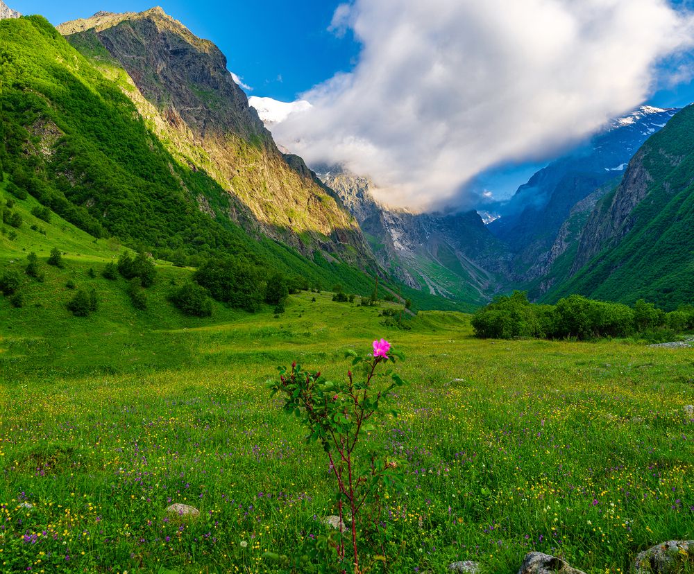 Photograph by Евгений Кармаев