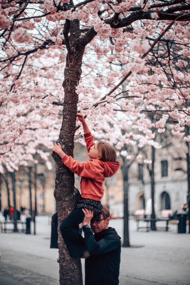 Photograph by Ruslan Badykov