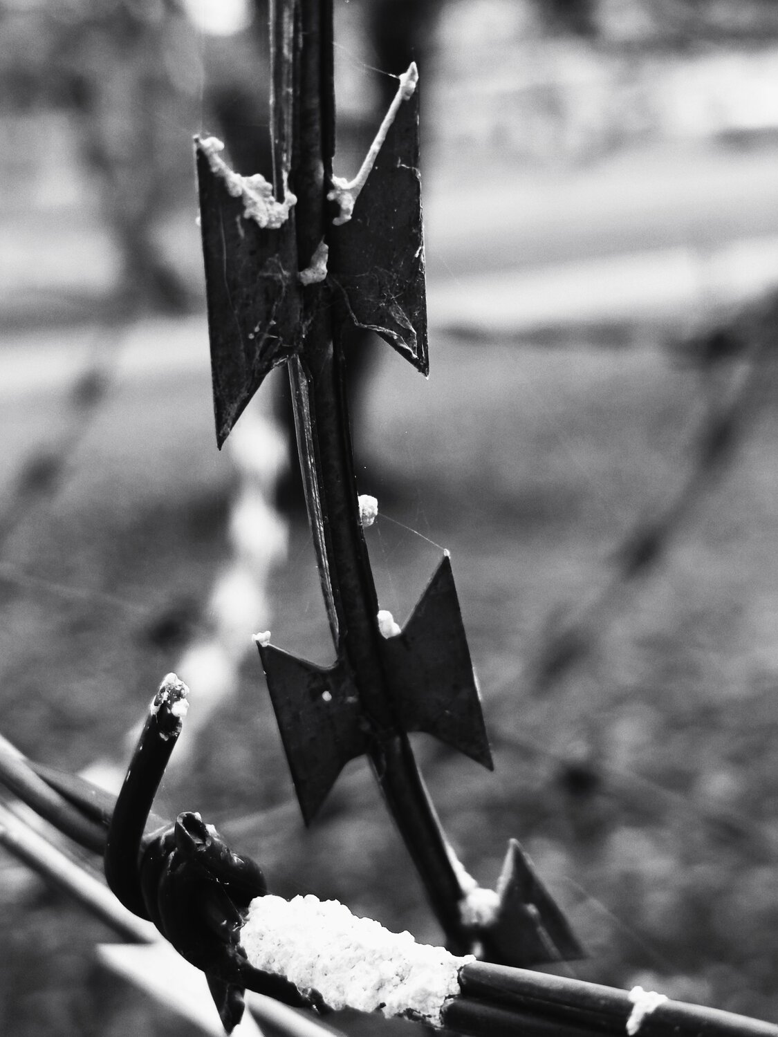Photo #12856605
