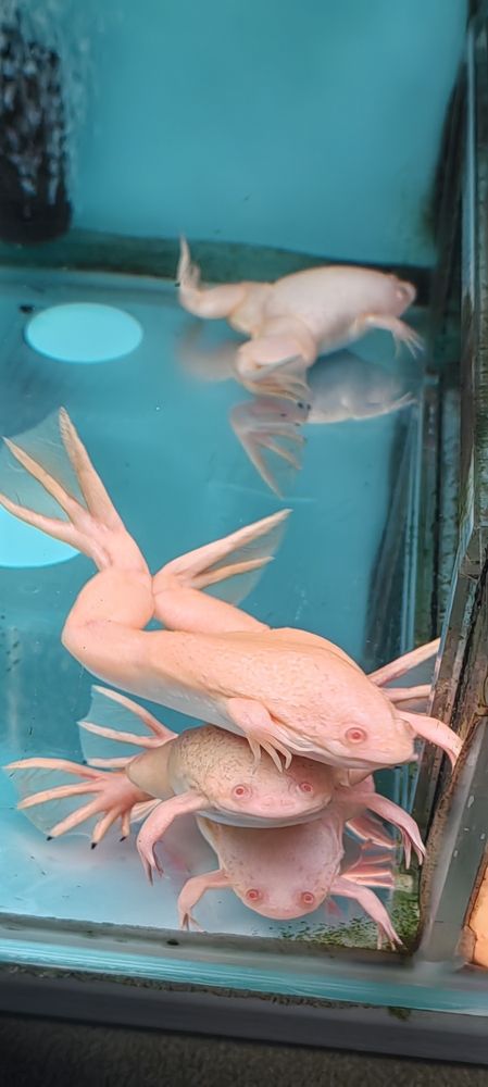 Фотография автора Татьяна Марсуверских