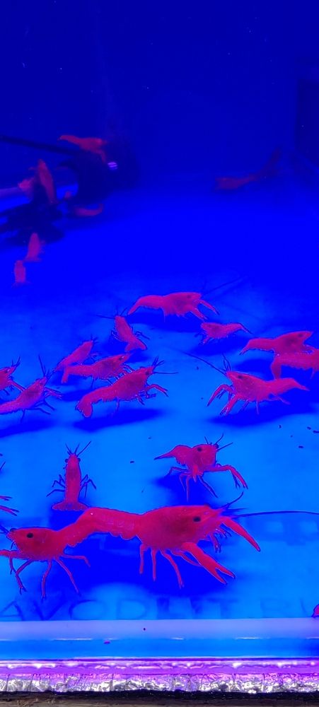 Фотография автора Татьяна Марсуверских