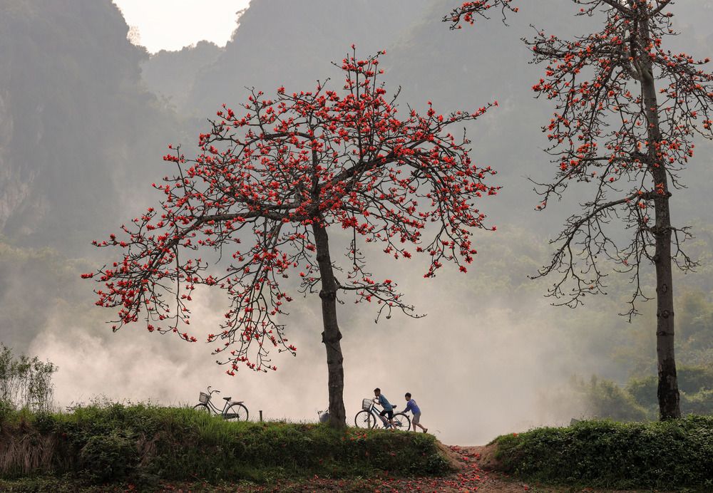 Photograph by Linh Trần