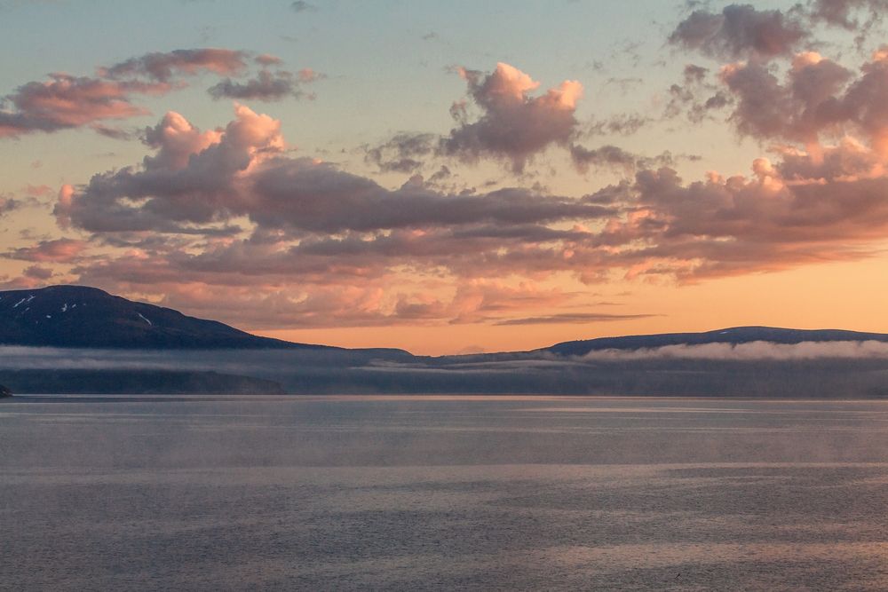 Фотография автора Галина Шепелева