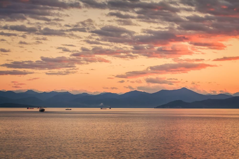 Фотография автора Галина Шепелева