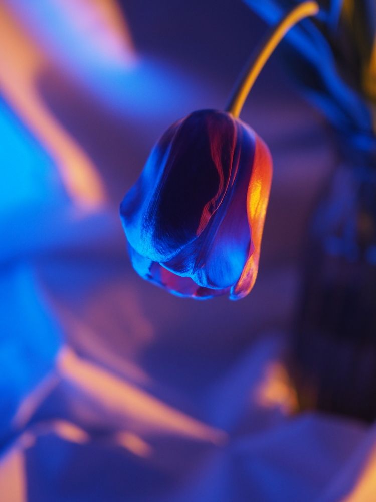 Photograph by Светлана Шибаршина