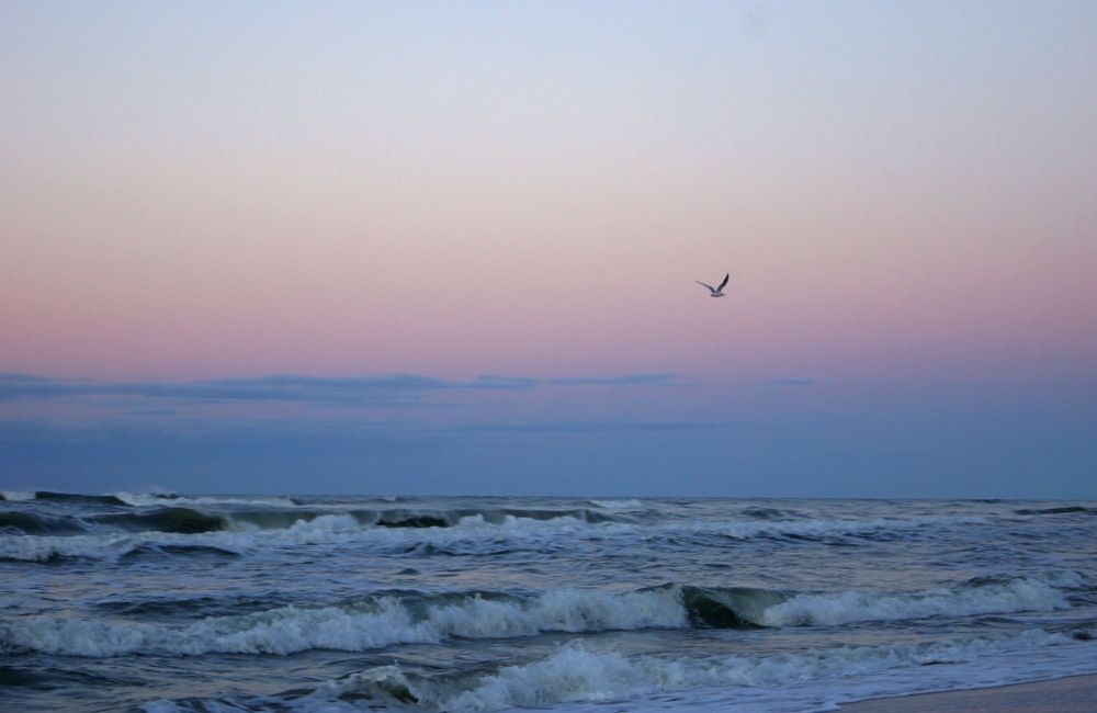 Photograph by Алла Бойко