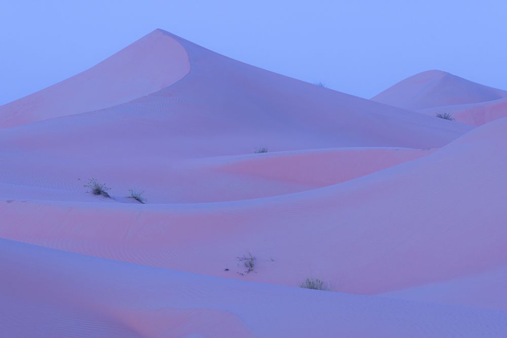 Photograph by Matteo Strassera