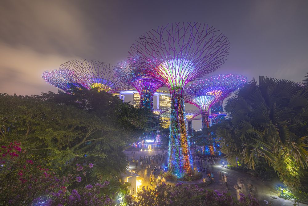 Photograph by Matteo Strassera