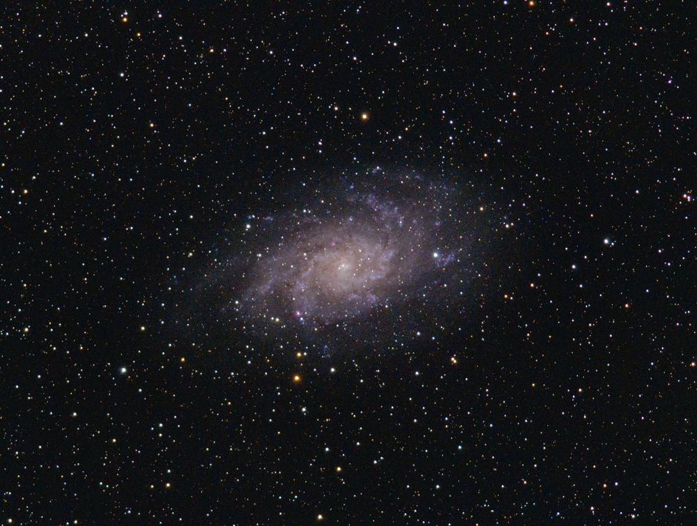 Photograph by Aleksander Perevolotsky