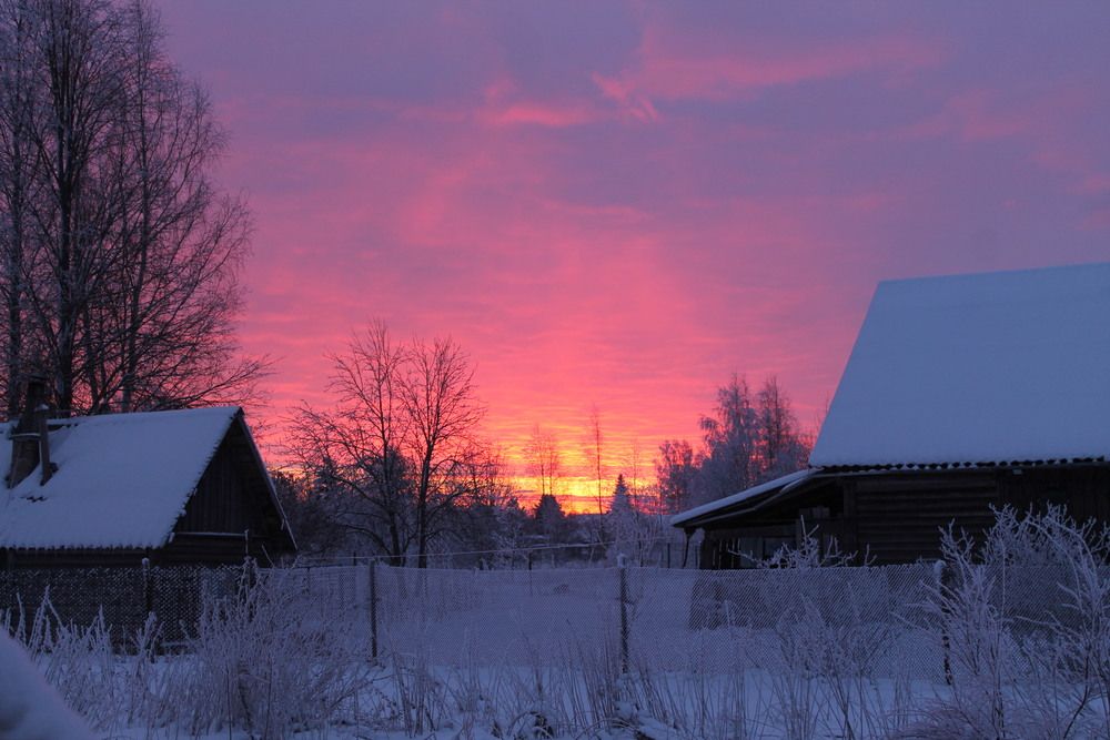 Photograph by Алла Бойко