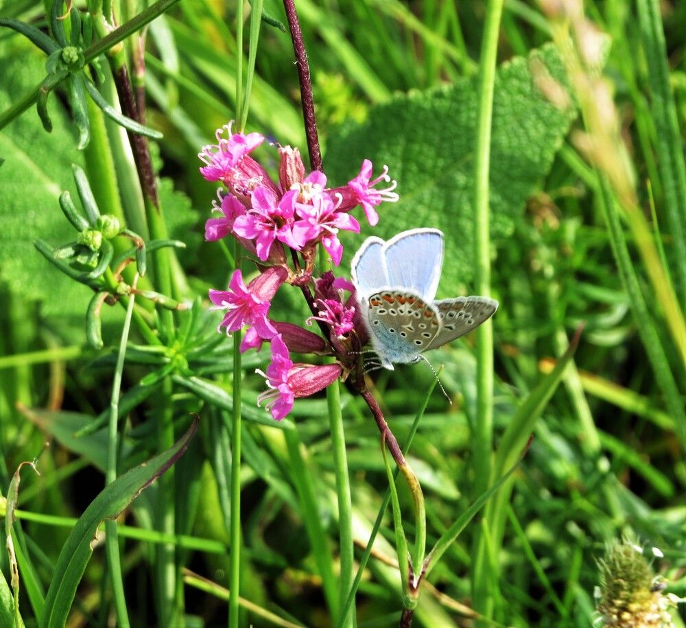 Photograph by Лариса Басова